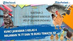 Check spelling or type a new query. Kunci Jawaban Tema 3 Kelas 4 Halaman 76 77 Dan 78 Youtube