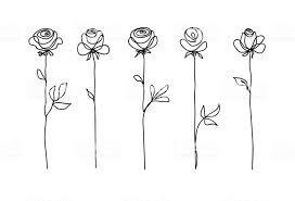 Rose Flower Set Continuous Drawing Line Art Concept Design Stylish Dessin Trait Continu Dessin Abstrait Dessin De Rose