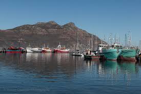 Mark yang has released this fish market in singapore image under public domain license. Vernon Chalmers Photography Walkabout Hout Bay Harbour