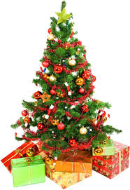 Over 200 angles available for each 3d object, rotate and download. Download Christmas Tree Png Images Png Images Christmas Tree Wall Paper Png Image With No Background Pngkey Com