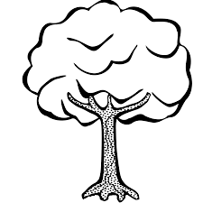 Simple outline drawing tree cartoon free peach public, hd png download. Simple Tree Drawing Black Novocom Top