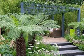 Douceur Exotique Tout Petit Jardin A Ambiance Tropicale Les Plus Beaux Jardins Beaux Jardins Idees Jardin