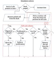 Sample Simulation Flowchart With The Simulation And Cell