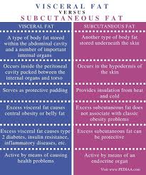 Pin On Fat
