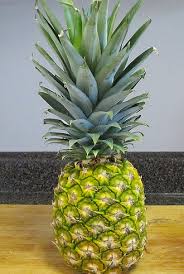 They'd taken down their bathroom read full profile while visiting friends in maine this weekend, i stumbled upon what might. Pineapple Diy Grow At Home Life Hack