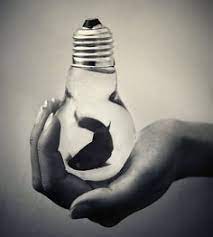 Best hashtags to get seen now for photography. 310 Conceptual Photography Ideas Conceptual Photography Photography Conceptual