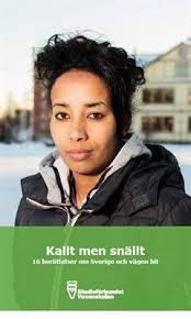 Kallt men snällt: Ny bok med 16 berättelser om Sverige och vägen hit