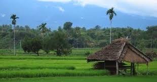  Gambar Pegunungan Indah Gambar Pegunungan Gambar Pegunungan Indahhttp Pemandanganoce Blogspot Com 2017 10 Gambar Pegunungan Gambar Pedesaan Pemandangan Alam