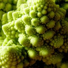 Fractales Naturelles Natural Fractales Green Romanesco Broccoli Green Thumb