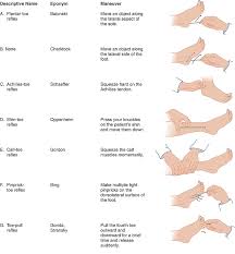 Image result for Reflex Exam