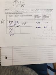 Solved 7 Before The Polymerase Chain Reaction Pcr Tech