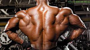 (i see you as a person with an interest in bodybuilding! Deep Muscles Of The Back Erector Spinae Bodybuilding Wizard