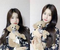 V Live