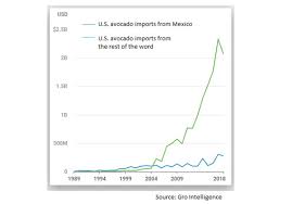 in one chart avocado price spike illustrates danger to u s