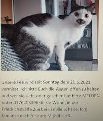 Check spelling or type a new query. Tierschutzverein Schonebeck Und Umgebung E V Vermisst Zugelaufen