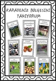 Karadeniz Bolgesini Taniyorum Kitabim Emine Ogretmen 2020 Okul Oncesi Yaslar Icin Montessori Yontemi Dorduncu Sinif Fen Faaliyetler
