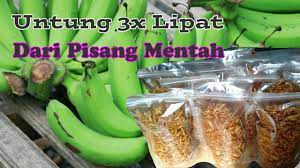 Ide Usaha Rumahan Dari Olahan Pisang Mentah Youtube