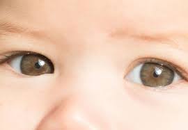 Cuando Se Define El Color De Ojos Que Le Quedaran Al Bebe