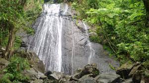 Three types of fauna are found at el yunque, reptiles, birds and amphibians. Better Than La Mina Review Of Catarata La Coca El Yunque National Forest Puerto Rico Tripadvisor