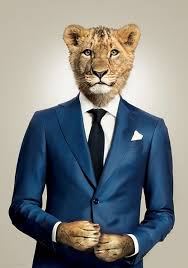 See more of location de costumes de mariage on facebook. Location De Jaquettes Et Smokings En Belgique