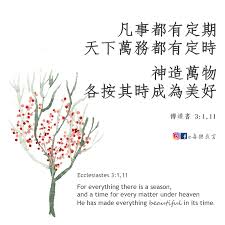 喜樂良言Words of Gladness （聖經金句） - 《痛而不苦的人生》 人生可以是痛但不一定是苦人生的痛很多時是沒有選擇的：  家庭背景、天生殘疾、病痛、意外、際遇