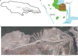 Locations Of The Riverton City Dump And Adjacent Duhaney River Sampling Download Scientific Diagram