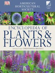Growing more than 3 metres (10 feet) high in warm climates, it is also grown as a potted plant reaching a. Ahs Encyclopedia Of Plants Pdf Perennial Plant Plants