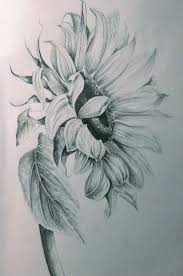 We did not find results for: Flower Sunflower Drawing Pencil Drawings Of Flowers Realistic Flower Drawing