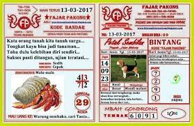 Bermimpi bahwa anda membayangkan fajar adalah indikator kesuksesan, kesehatan, dan awal yang baru. 100 Gambar Hewan Pemikiran Galau Fajar Pakong Paling Bagus Gambar Pixabay