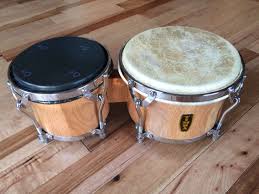 Timba Bongos With X Ray Macho Head Band Jokes Adventure Time Music Marching Band Humor