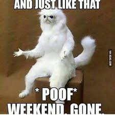 Find the newest three day weekend meme. And Just Like That Poof Weekend Gone Memesboy