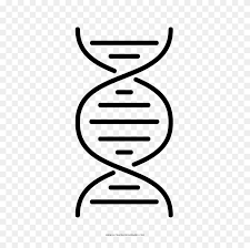 Dna coloring page basically are a regular requirement for science and other subjects too and we give you free access to loads of worksheets and school project material for free. Double Helix Coloring Page Dna Helix Png Stunning Free Transparent Png Clipart Images Free Download
