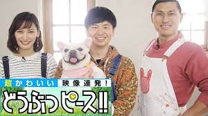 8 2 金 どうぶつピース 日本を危険から守る 麻薬 検疫探知犬に密着 麻薬探知犬 ピース 犬