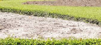 To begin with the lime must be spread over the soil surface by hand from a bucket br a fertilizer distributor if the soil is firm and even. Using Powdered Lime Calcium Carbonate In The Garden Dave S Garden