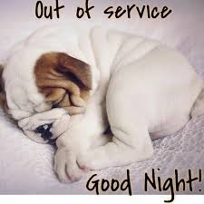Witzige Guten Abend Bilder Bilder Zum Posten Good Night Quotes Yavru Kopek Kopek