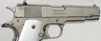 Image result for Grace Silver 1991 Colt