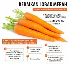 Lobak putih bisa di pakai buat meredakan demam. 7 Khasiat Ajaib Lobak Merah Untuk Kesihatan Sentiasa Panas
