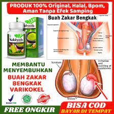 Obat Buah Jakar Nyeri Panas Gede Berlegalitas Resmi Bpom Herbal Buah Zakar Bengkak Sebelah Kanan Kiri