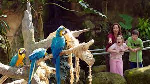 How much are moody garden tickets. Moody Gardens Theme Park Penguin Exhibits 3d 4d Theaters Aquarium Pyramid