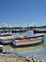 Vendesi appartamenti con giardino a il capannino venturina. Affitti Golfo Di Baratti Per Vacanze Con Iha Privati