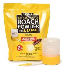 1 lb drione pest insecticide dust w/ puffer duster bellow hand duster, carpenter bee, bedbugs, wasp control and many more. Insecticide Dust Products Pest Control Everything