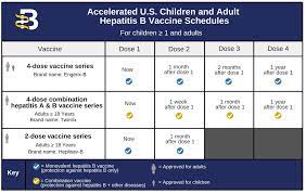 If you do not have a current hepatitis b infection, or have not recovered from a past infection, then hepatitis b vaccination is an important way to protect yourself. Hepatitis B Foundation Hepatitis B Vaccine Schedules