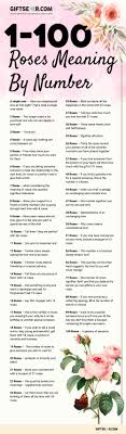 What do 15 white roses mean. Roses Meaning By Number 1 100 Infographic