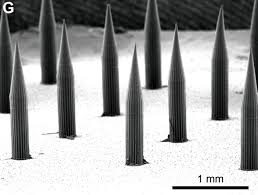 In some areas in the developing. Invisible Ink Could Reveal Whether Kids Have Been Vaccinated Scientific American