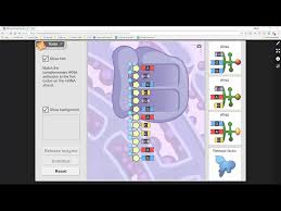 Rna and protein synthesis answer key vocabulary: Rna Protein Synthesis Gizmo Activity B Youtube