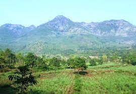 Tentunya wisata alam gunung menyuguhkan pemandangan alam dari ketinggian yang indah dan memanjakan mata. Pesona Keindahan Wisata Gunung Klotok Kediri Ihategreenjello