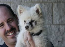 Dog From the Dark Gets Name and Second Chance at Life