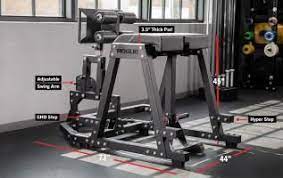 Rogue Donkey Rogue Fitness Reverse Hyperextension Gym Flooring No Equipment Workout