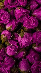 We have a massive amount of desktop and mobile backgrounds. 39 Dark Pink Flower Wallpaper Richness Galleries In 2020 Flower Phone Wallpaper Flower Aesthetic Purple Flowers