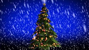 We did not find results for: Beautiful Christmas Snow Falling On Christmas Tree Free Christmas Background Free Use Youtube